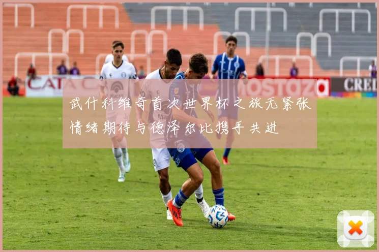 武什科维奇首次世界杯之旅无紧张情绪期待与德泽尔比携手共进