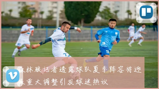 森林狼记者透露球队夏季阵容将迎来重大调整引发球迷热议