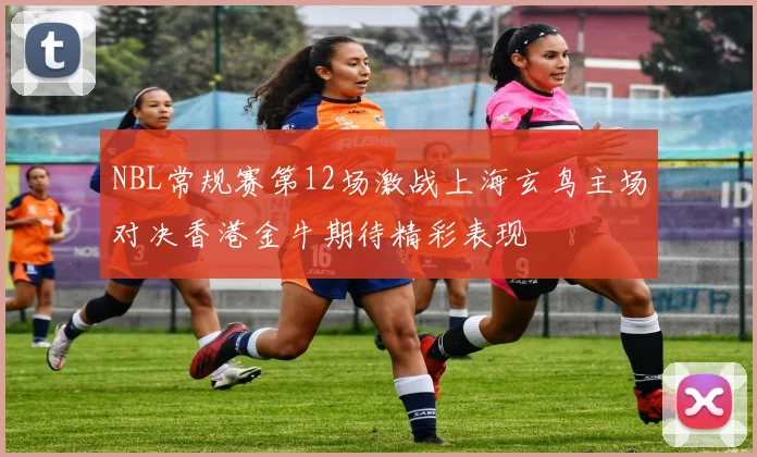 NBL常规赛第12场激战上海玄鸟主场对决香港金牛期待精彩表现